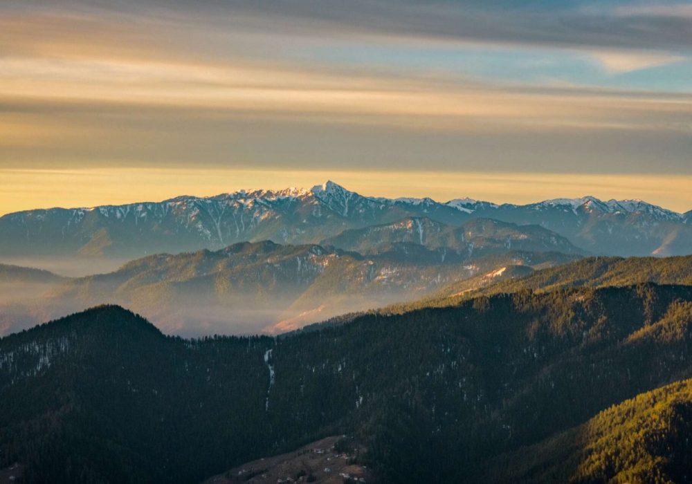 Screenshot 2025-12-17 153235